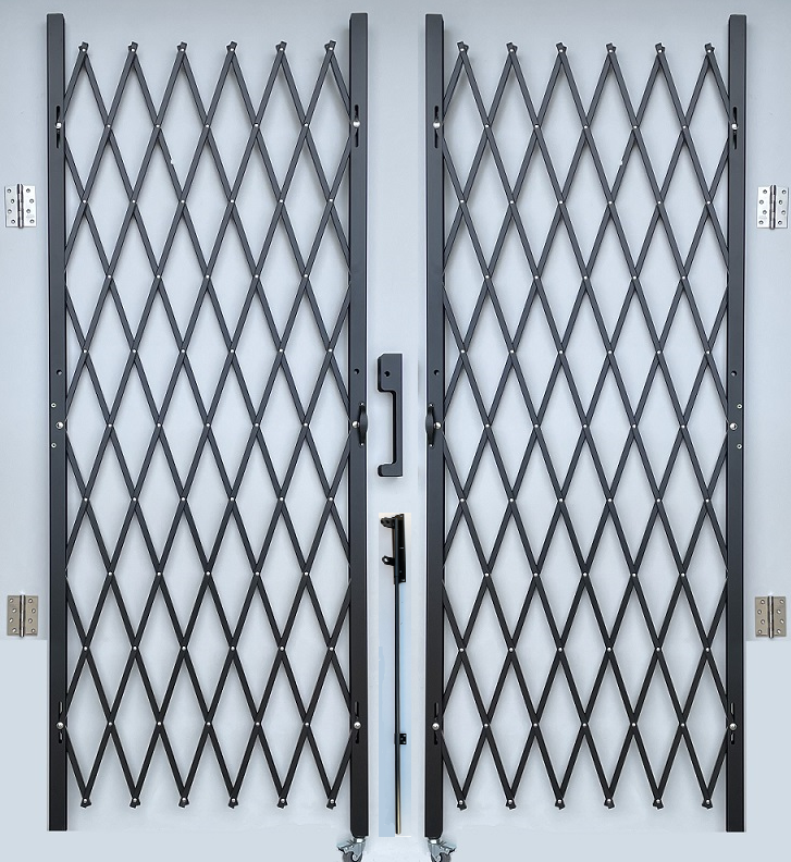 double security gate
