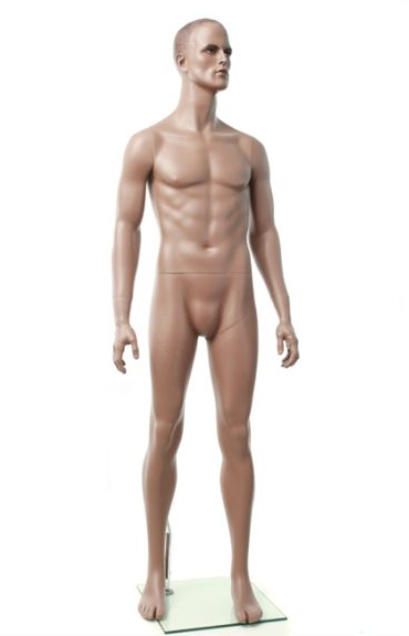 Male mannequin dark tone